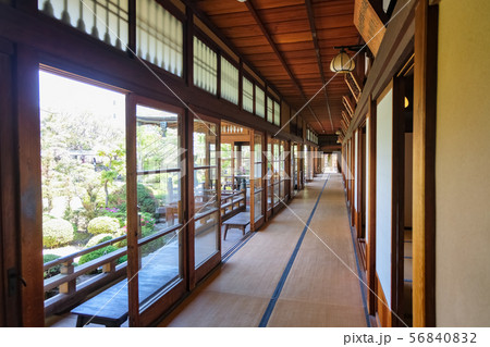 柴又帝釈天 邃渓園 大客殿 廊下 柴又帝釈天 邃渓園 大客殿 廊下 56840832