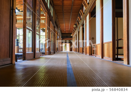 柴又帝釈天 邃渓園 大客殿 廊下 柴又帝釈天 邃渓園 大客殿 廊下 56840834