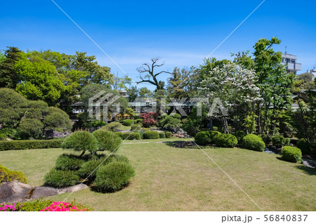 柴又帝釈天 邃渓園 柴又帝釈天 邃渓園 56840837