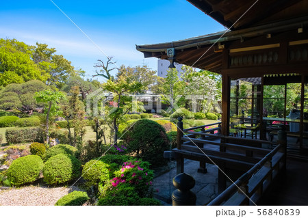 柴又帝釈天 邃渓園 柴又帝釈天 邃渓園 56840839