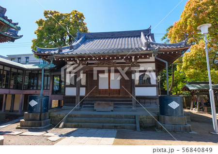 柴又帝釈天 釈迦堂(開山堂) 柴又帝釈天 釈迦堂(開山堂) 56840849