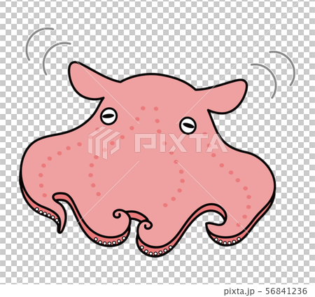 メンダコ ベクター イラストのイラスト素材 [56841236] - PIXTA