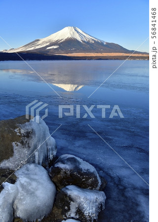 薄氷張る山中湖と逆さ富士 薄氷張る山中湖と逆さ富士 56841468
