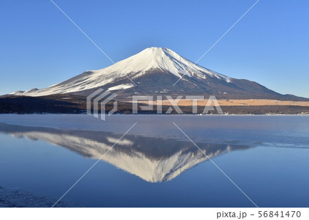 薄氷張る山中湖と逆さ富士 薄氷張る山中湖と逆さ富士 56841470
