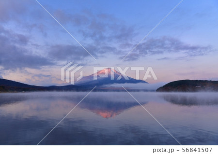 朝霧の山中湖と逆さ紅富士 朝霧の山中湖と逆さ紅富士 56841507