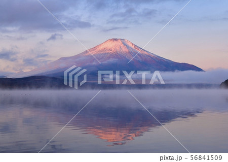 朝霧の山中湖と逆さ紅富士 56841509