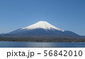 富士五湖_山中湖_長池_春_H430I3989 56842010