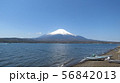 富士五湖_山中湖_長池_春_H430I3998 56842013