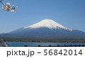 富士五湖_山中湖_長池_春_桜_H430I4098 56842014