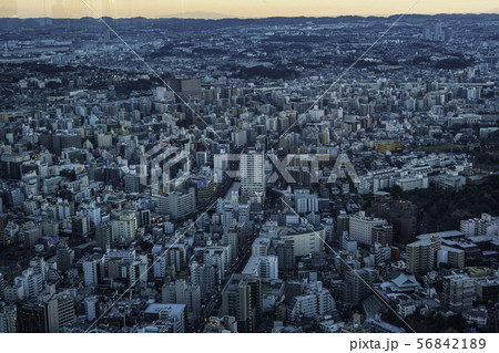 （神奈川県）横浜・みなとみらい　ランドマークタワー西側　夕景 56842189