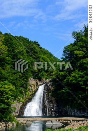 法体の滝 夏 秋田県 法体の滝 夏 秋田県 56842532