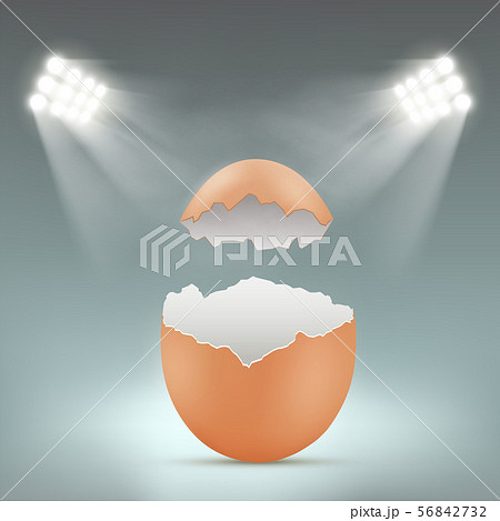 Broken empty blank chicken egg with spotlights Broken empty blank chicken egg with spotlights 56842732