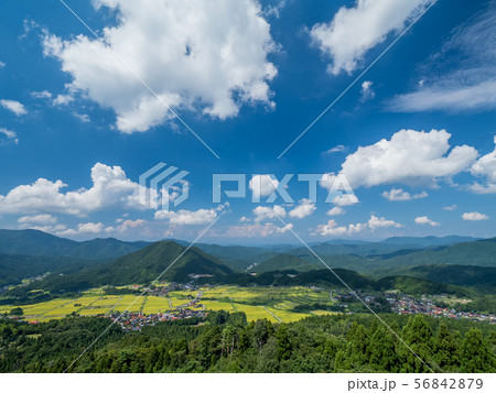 但馬牧場公園 56842879