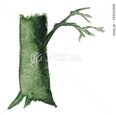 Tree trunk with roots 56842998