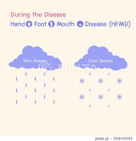 Hand, Foot, and Mouth Disease (HFMD) Medical 56843043