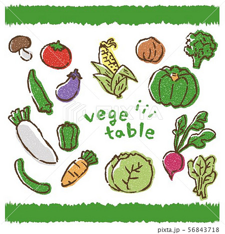 Vegetables. vector illustration © ddraw (#4483315)