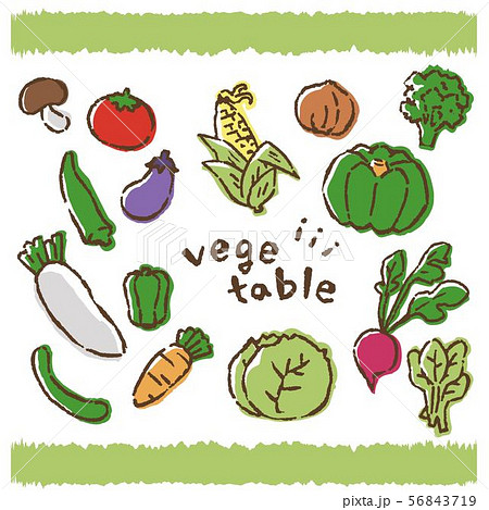 野菜のイラスト 手書き風 ベクターのイラスト素材 56843719 Pixta