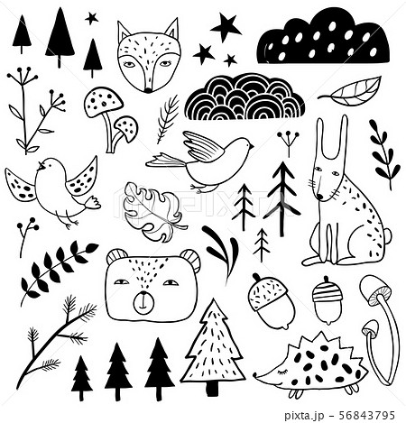 Forest set. Sketch style monochrome collection Forest set. Sketch style monochrome collection 56843795