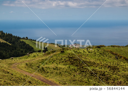 Nature and Atlantic ocean, Sao Miguel 56844144