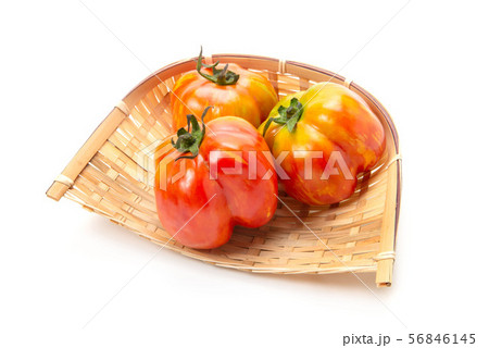 ストライプドキャバーン 56846145