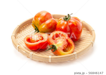 ストライプドキャバーン 56846147