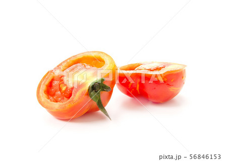 ストライプドキャバーン 56846153