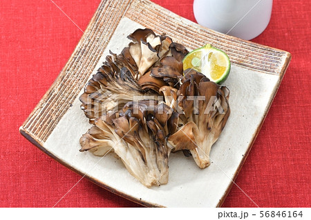 焼きマイタケ、焼き舞茸、焼きまいたけ、シンプルなグリル焼きキノコ料理。シークヮーサーを添えて。 焼きマイタケ、焼き舞茸、焼きまいたけ、シンプルなグリル焼きキノコ料理。シークヮーサーを添えて。 56846164