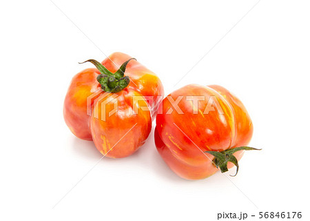 ストライプドキャバーン 56846176