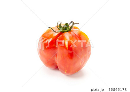 ストライプドキャバーン 56846178