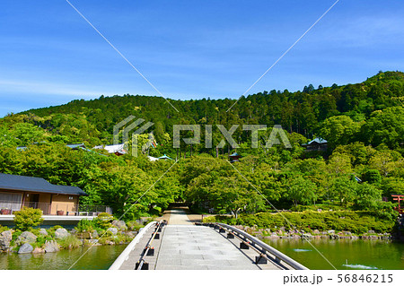 勝尾寺 境内　弁天池 56846215