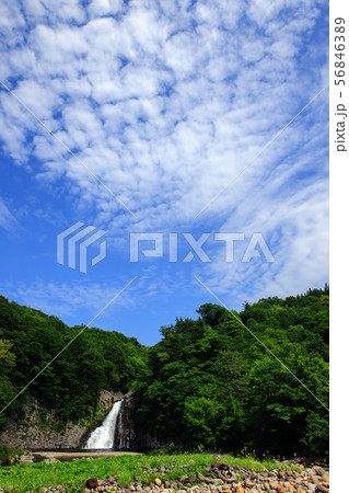 法体の滝 夏 秋田県 法体の滝 夏 秋田県 56846389