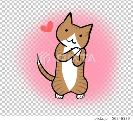 愛情を表現してるネコ ピンク 丸背景 のイラスト素材