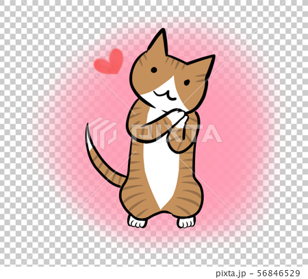 愛情を表現してるネコ ピンク 丸背景 のイラスト素材 56846529 Pixta