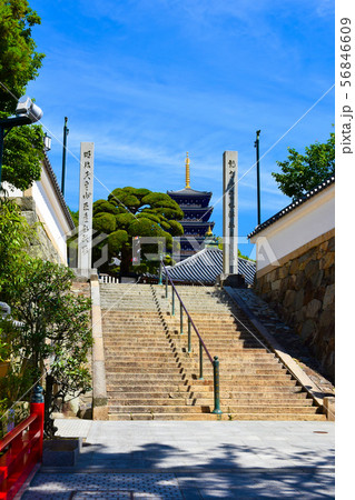 中山寺 参道 西国三十三所 56846609
