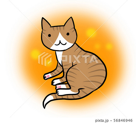 起き上がってこちらを見つめるネコのイラスト 橙 黄色 丸背景 のイラスト素材