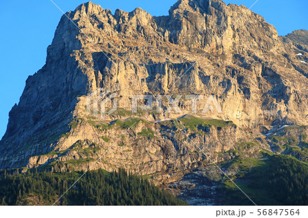 スイス、グリンデルワルトの風景 56847564