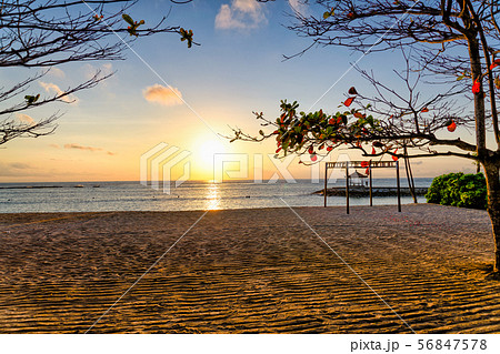 バリ島ヌサドゥアの朝 バリ島ヌサドゥアの朝 56847578