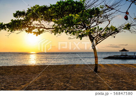 バリ島ヌサドゥアの朝 56847580