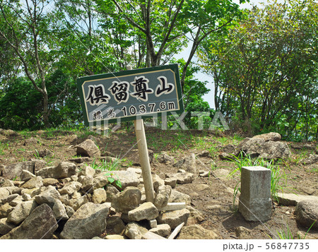 俱留尊山 56847735