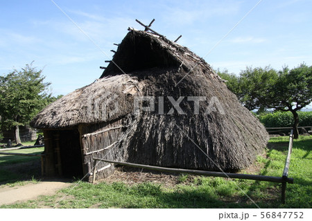 復元古代住居 56847752