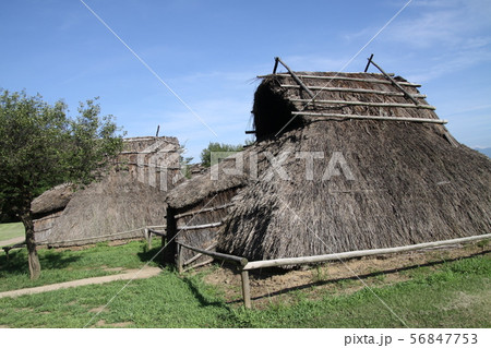 復元古代住居 56847753