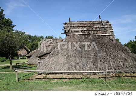 復元古代住居 復元古代住居 56847754
