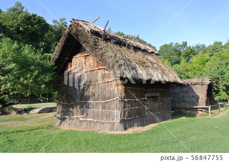 復元古代住居 復元古代住居 56847755