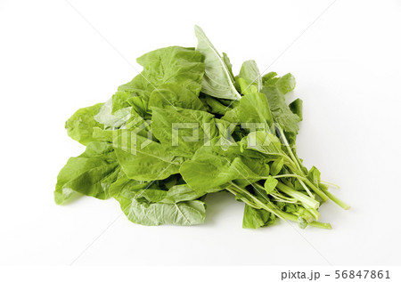 アマランサスの葉(葉野菜) アマランサスの葉(葉野菜) 56847861