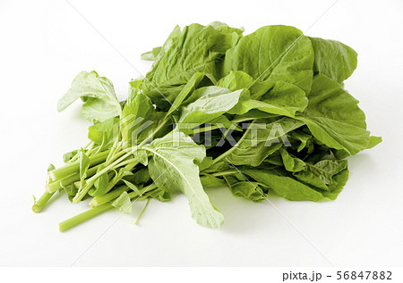 アマランサスの葉（葉野菜） 56847882