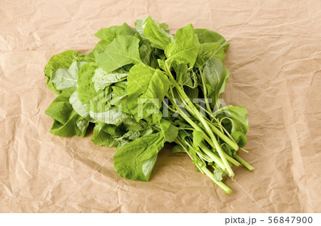 アマランサスの葉(葉野菜) アマランサスの葉(葉野菜) 56847900