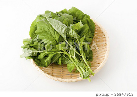 アマランサスの葉（葉野菜） 56847915
