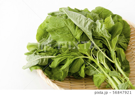 アマランサスの葉（葉野菜） 56847921