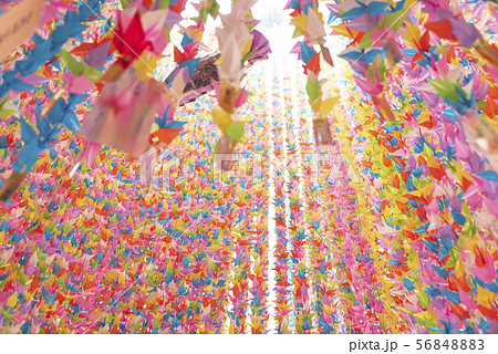 仙台七夕2019 56848883