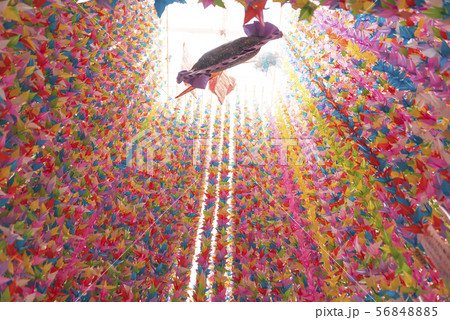 仙台七夕2019 56848885